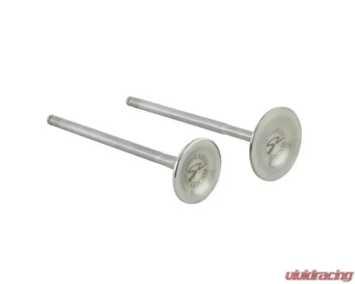 Skunk2 33mm/28mm STD Comp B VTEC Alpha Valves - 310-05-1310