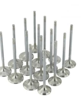 Skunk2 33mm/28mm STD Comp B VTEC Alpha Valves                                     - 310-05-1310 - Image 5