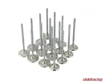 Skunk2 33mm/28mm STD Comp B VTEC Alpha Valves - 310-05-1310