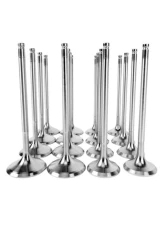 Skunk2 35mm/30mm STD Comp H VTEC Alpha Valves                                     - 310-05-1400 - Image 7