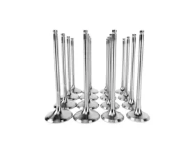 Skunk2 35mm/30mm STD Comp K Series Alpha Valves