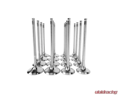 Skunk2 35mm/30mm STD Comp K Series Alpha Valves - 310-05-1535