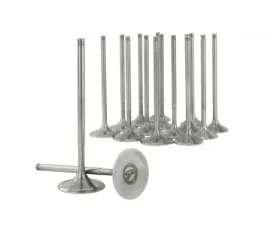 Skunk2 36mm/30mm STD Comp K Series Alpha Valves