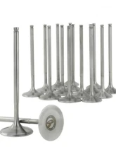 Skunk2 36mm/30mm STD Comp K Series Alpha Valves                                     - 310-05-1555 - Image 5