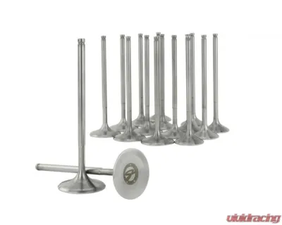 Skunk2 36mm/30mm STD Comp K Series Alpha Valves - 310-05-1555