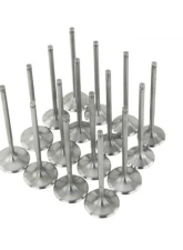 Skunk2 36mm/30mm STD Comp K Series Alpha Valves                                     - 310-05-1555 - Image 5