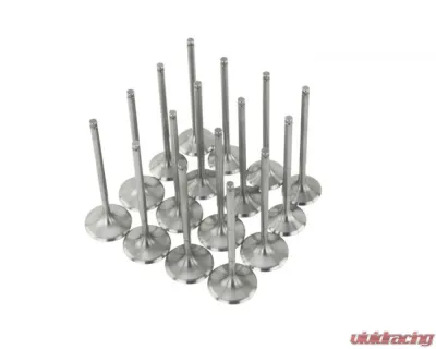 Skunk2 36mm/30mm STD Comp K Series Alpha Valves - 310-05-1555