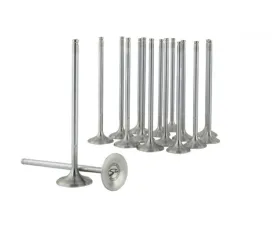 Skunk2 30mm/26mm STD Comp D VTEC Alpha Valves