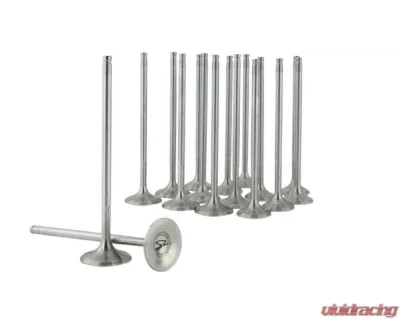 Skunk2 30mm/26mm STD Comp D VTEC Alpha Valves - 310-05-1600