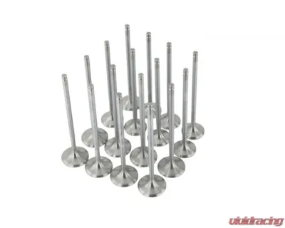 Skunk2 30mm/26mm STD Comp D VTEC Alpha Valves - 310-05-1600