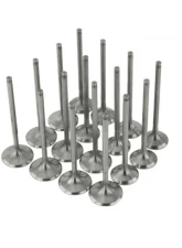 Skunk2 33mm/28mm STD Comp B VTEC Ultra Valves                                     - 310-05-9310 - Image 5