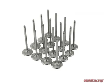 Skunk2 33mm/28mm STD Comp B VTEC Ultra Valves - 310-05-9310