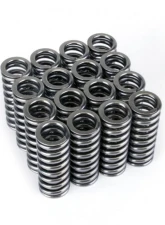 Skunk2 D VTEC Alpha Valve Spring Set                                     - 311-05-1345 - Image 6