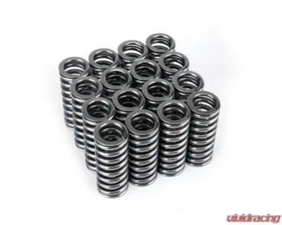 Skunk2 D VTEC Alpha Valve Spring Set - 311-05-1345