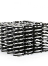 Skunk2 D VTEC Alpha Valve Spring Set                                     - 311-05-1345 - Image 2