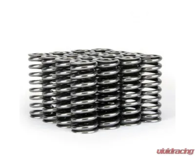 Skunk2 D VTEC Alpha Valve Spring Set - 311-05-1345