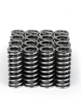 Skunk2 D VTEC Alpha Valve Spring Set                                     - 311-05-1345 - Image 3