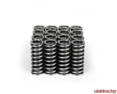 Skunk2 D VTEC Alpha Valve Spring Set - 311-05-1345
