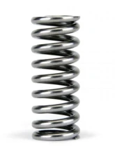Skunk2 D VTEC Alpha Valve Spring Set                                     - 311-05-1345 - Image 4