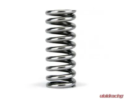 Skunk2 D VTEC Alpha Valve Spring Set - 311-05-1345