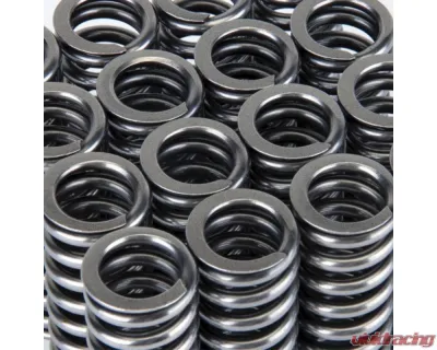 Skunk2 D VTEC Alpha Valve Spring Set - 311-05-1345