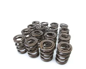 Skunk2 B VTEC Alpha Valve Spring Set