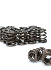 Skunk2 B VTEC Alpha Valve Spring Set Acura Integra 1990-2001                                     - 311-05-1350 - Image 2