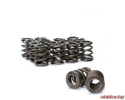 Skunk2 B VTEC Alpha Valve Spring Set Acura Integra 1990-2001 - 311-05-1350