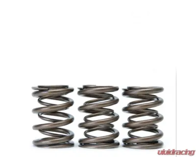 Skunk2 B VTEC Alpha Valve Spring Set Acura Integra 1990-2001 - 311-05-1350