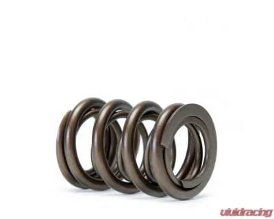 Skunk2 B VTEC Alpha Valve Spring Set Acura Integra 1990-2001 - 311-05-1350