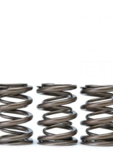 Skunk2 H VTEC Alpha Valve Spring Set                                     - 311-05-1360 - Image 2