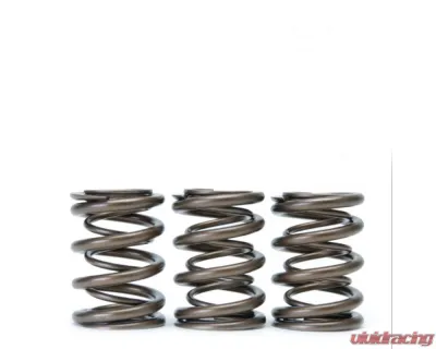 Skunk2 H VTEC Alpha Valve Spring Set - 311-05-1360