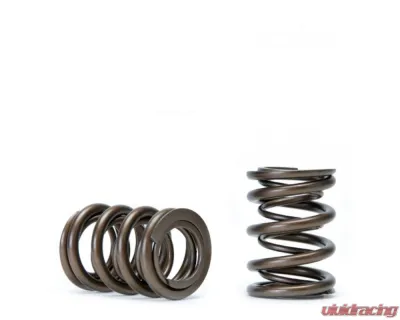 Skunk2 H VTEC Alpha Valve Spring Set - 311-05-1360