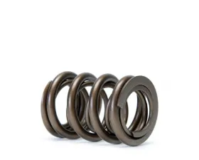 Skunk2 K Series Alpha Valve Spring Set
