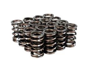 Skunk2 B VTEC Pro XP Valve Spring Set