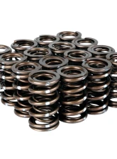 Skunk2 B VTEC Pro XP Valve Spring Set                                     - 311-05-7350 - Image 3