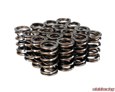 Skunk2 B VTEC Pro XP Valve Spring Set - 311-05-7350