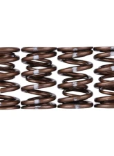 Skunk2 B VTEC Pro XP Valve Spring Set                                     - 311-05-7350 - Image 2