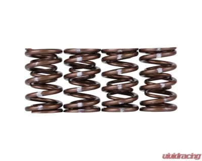 Skunk2 B VTEC Pro XP Valve Spring Set - 311-05-7350