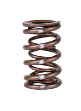 Skunk2 B VTEC Pro XP Valve Spring Set                                     - 311-05-7350 - Image 3