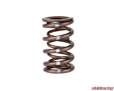 Skunk2 B VTEC Pro XP Valve Spring Set - 311-05-7350