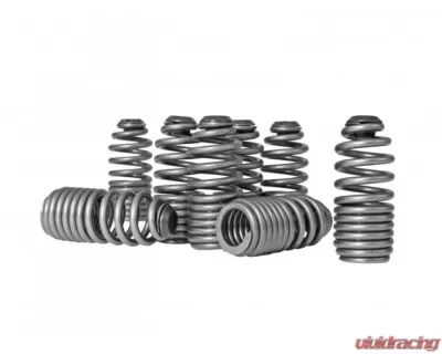 Skunk2 Lost Motion Assembly Spring Kit - 312-05-0200