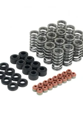 Skunk2 Ultra Valve Springs & Spring Base Kit                                     - 313-05-9400 - Image 5