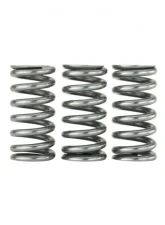Skunk2 Ultra Valve Springs & Spring Base Kit                                     - 313-05-9400 - Image 3