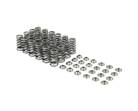 Skunk2 High Lift Valve Springs & Titanum Retainer