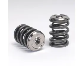 Skunk2 B VTEC Alpha Valve Spring & Ti Retainer Kit