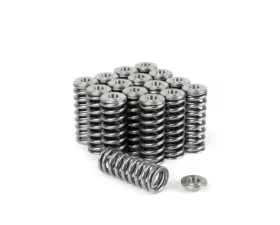 Skunk2 D VTEC Alpha Valve Spring & Ti Retainer Kit