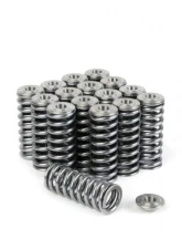 Skunk2 D VTEC Alpha Valve Spring & Ti Retainer Kit                                     - 344-05-1350 - Image 9