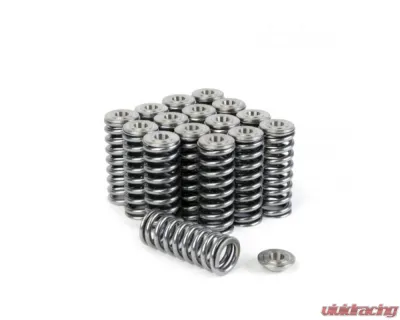 Skunk2 D VTEC Alpha Valve Spring & Ti Retainer Kit - 344-05-1350