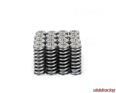 Skunk2 D VTEC Alpha Valve Spring & Ti Retainer Kit - 344-05-1350